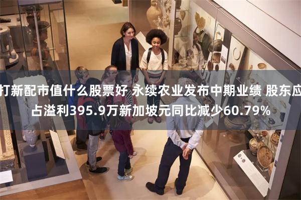 打新配市值什么股票好 永续农业发布中期业绩 股东应占溢利395.9万新加坡元同比减少60.79%