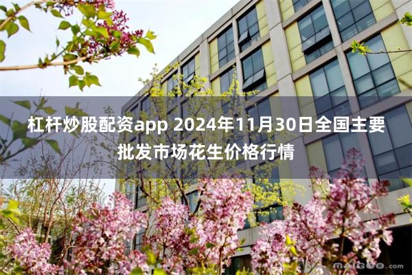 杠杆炒股配资app 2024年11月30日全国主要批发市场花生价格行情