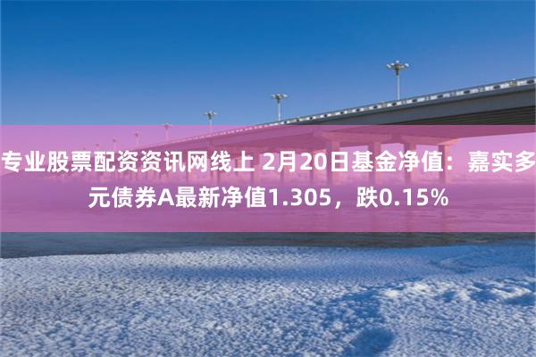 专业股票配资资讯网线上 2月20日基金净值：嘉实多元债券A最新净值1.305，跌0.15%