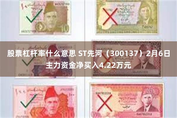 股票杠杆率什么意思 ST先河（300137）2月6日主力资金净买入4.22万元