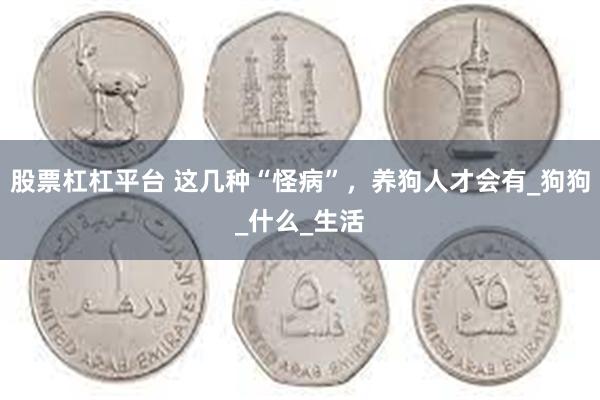 股票杠杠平台 这几种“怪病”，养狗人才会有_狗狗_什么_生活