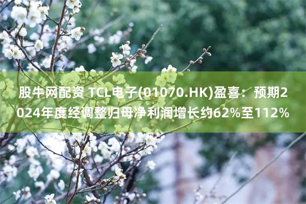 股牛网配资 TCL电子(01070.HK)盈喜：预期2024年度经调整归母净利润增长约62%至112%