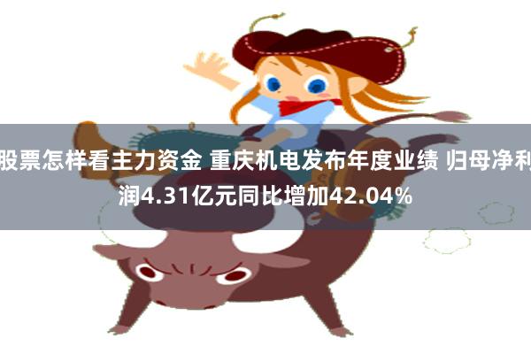 股票怎样看主力资金 重庆机电发布年度业绩 归母净利润4.31亿元同比增加42.04%