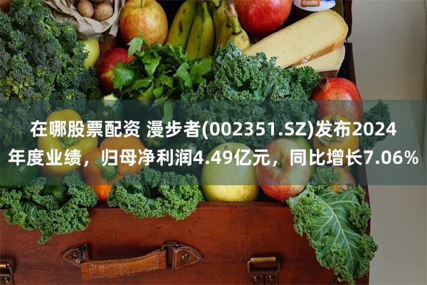 在哪股票配资 漫步者(002351.SZ)发布2024年度业绩，归母净利润4.49亿元，同比增长7.06%