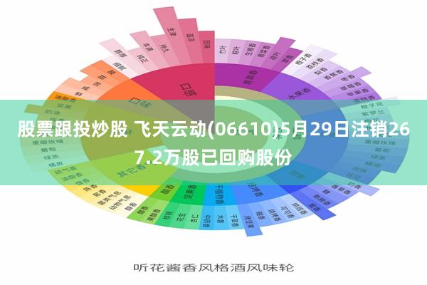 股票跟投炒股 飞天云动(06610)5月29日注销267.2万股已回购股份