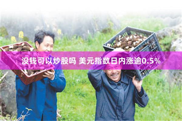 没钱可以炒股吗 美元指数日内涨逾0.5%