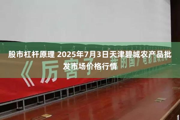 股市杠杆原理 2025年7月3日天津碧城农产品批发市场价格行情